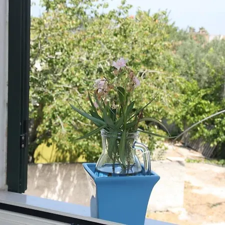 Apartament Kalos Irtate
